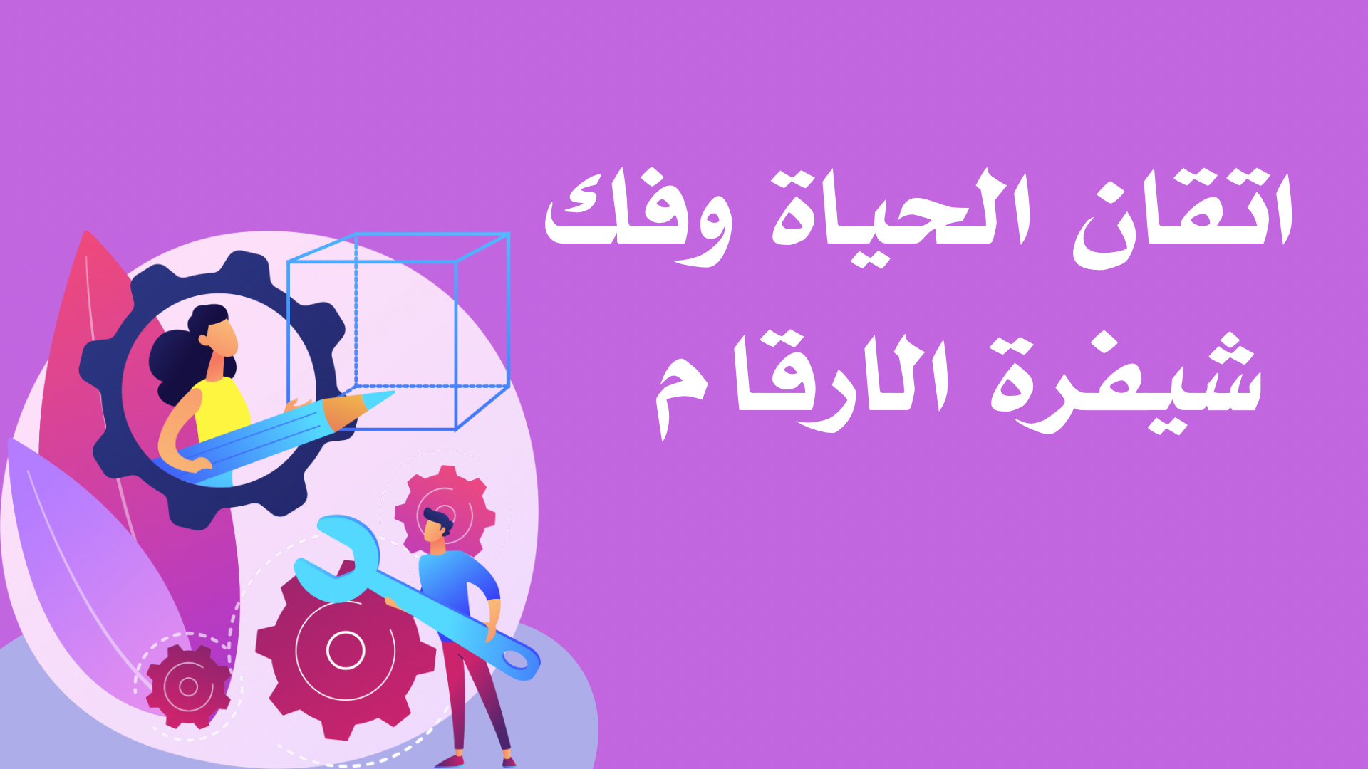 اتقان الحياة وفك شيفرة الارقام